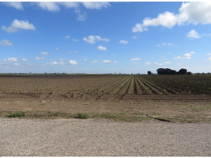 Jarvisfield QLD 4807