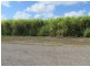 Jarvisfield QLD 4807