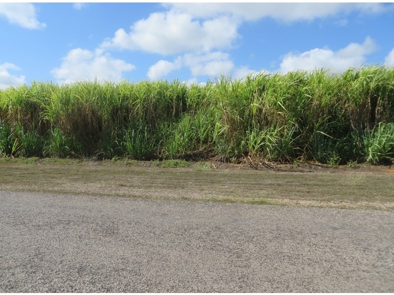 Jarvisfield QLD 4807