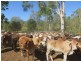Mulgrave QLD 4807