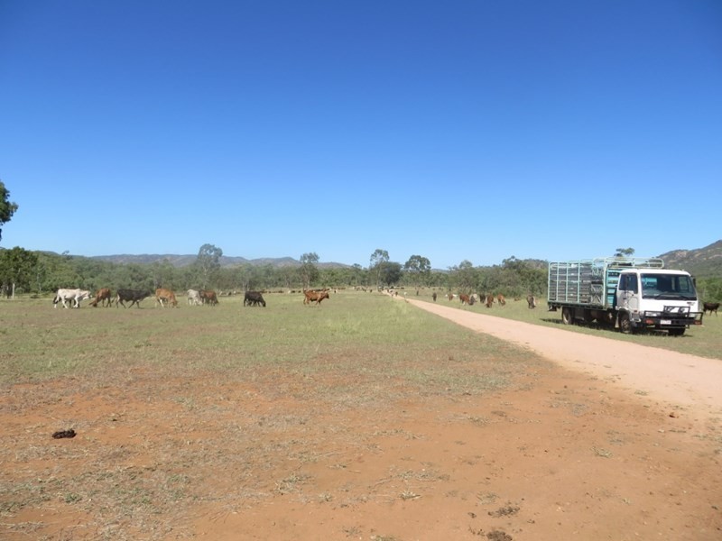 Mulgrave QLD 4807