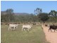 Mulgrave QLD 4807