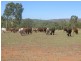 Mulgrave QLD 4807
