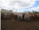 Mulgrave QLD 4807
