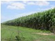 Rita Island QLD 4807