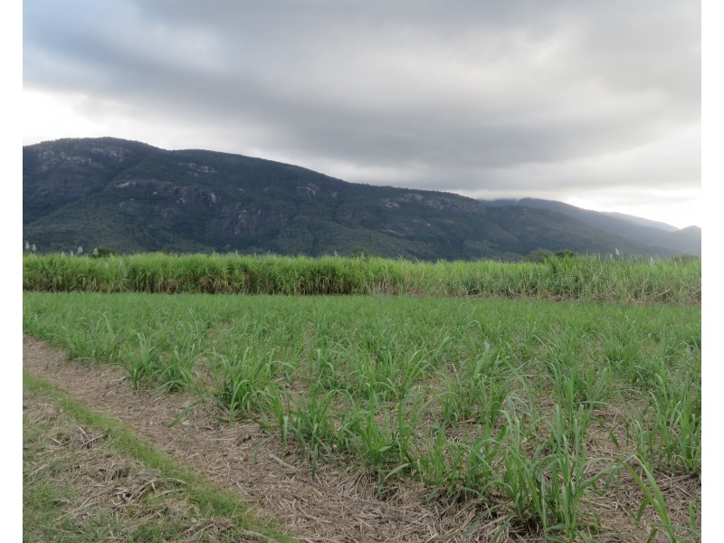 Mount Surround QLD 4809