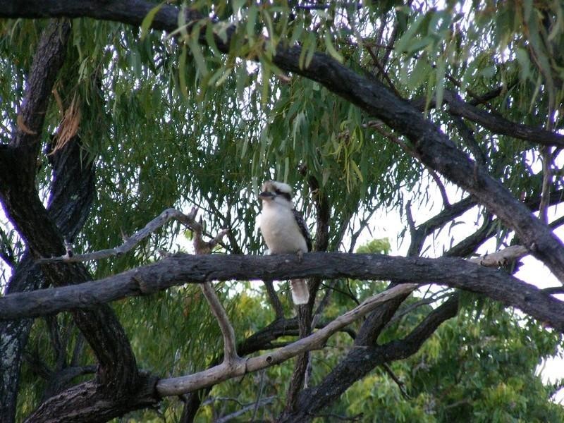 Hideaway Bay QLD 4800