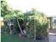 Brandon QLD 4808