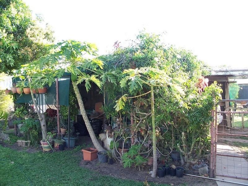 Brandon QLD 4808