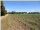 Home Hill QLD 4806