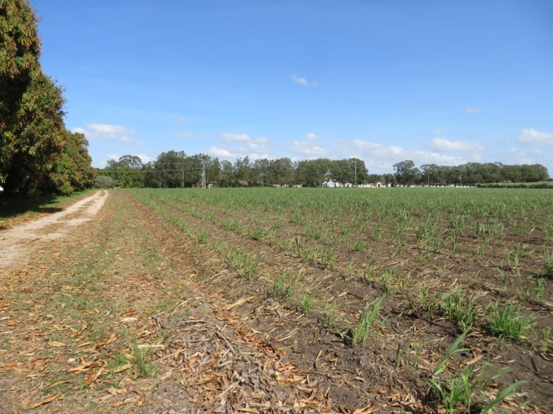 Home Hill QLD 4806