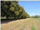 Home Hill QLD 4806