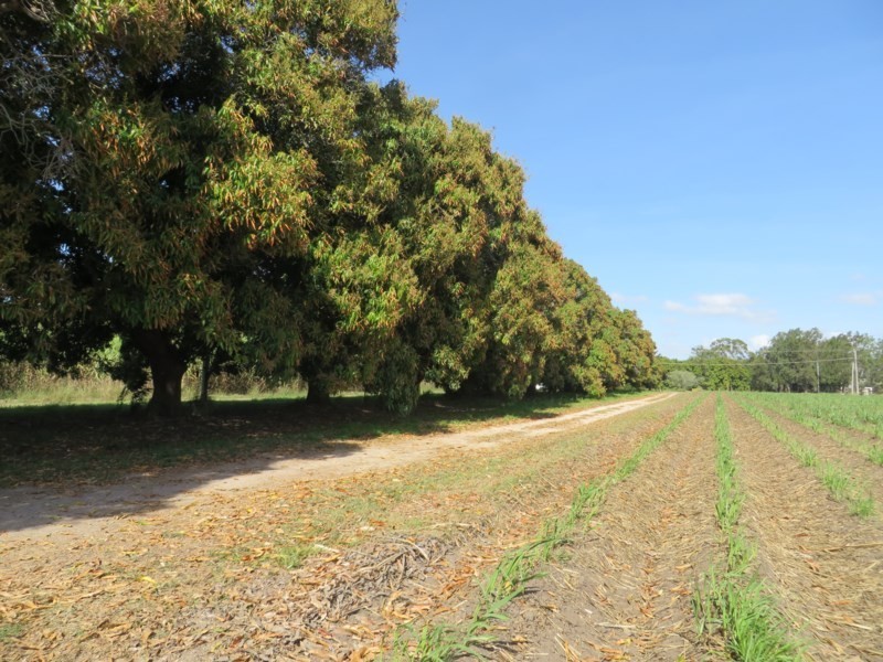 Home Hill QLD 4806