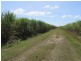 Home Hill QLD 4806