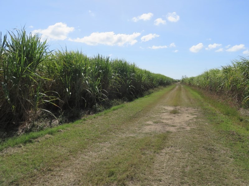Home Hill QLD 4806