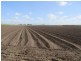 Home Hill QLD 4806