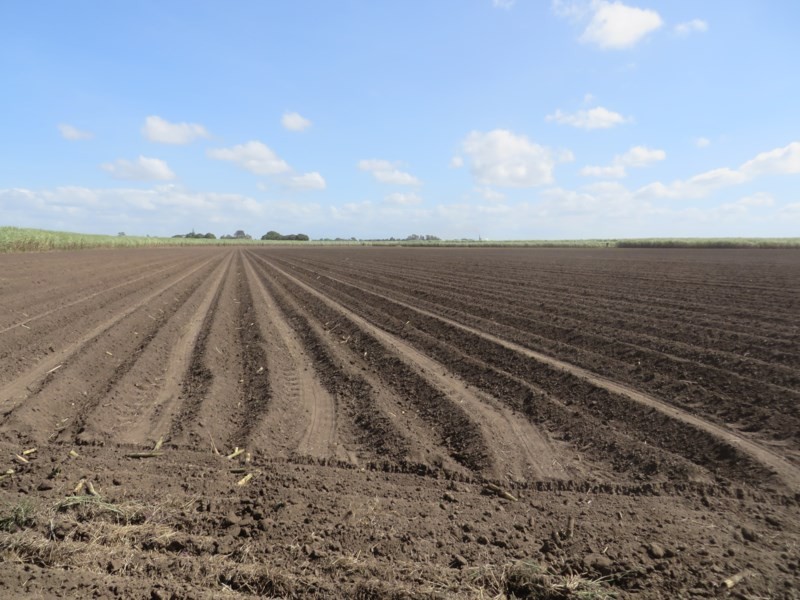 Home Hill QLD 4806