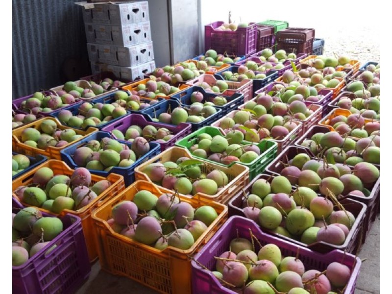 Mount Surround QLD 4809