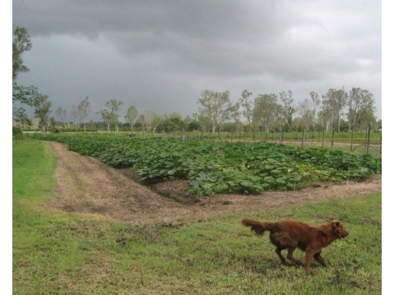 Mount Surround QLD 4809