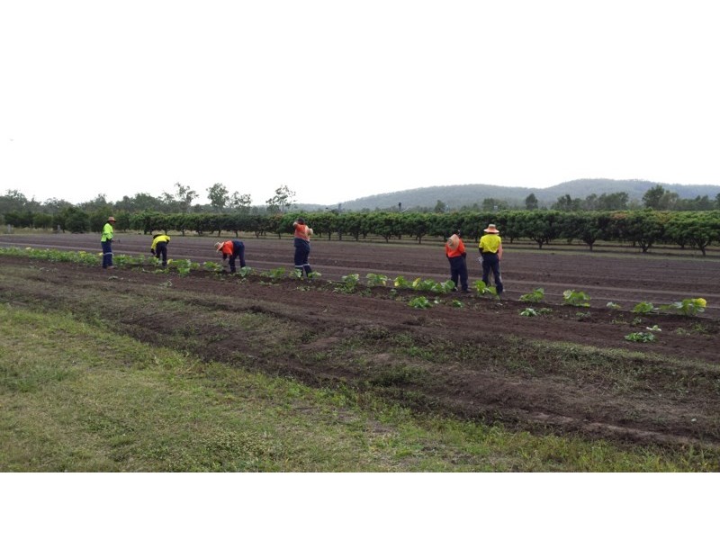 Mount Surround QLD 4809