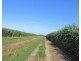 Millaroo QLD 4807