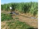Millaroo QLD 4807