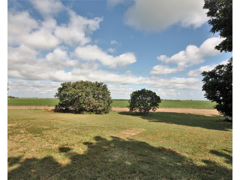 173 Anabranch Road, Jarvisfield QLD 4807