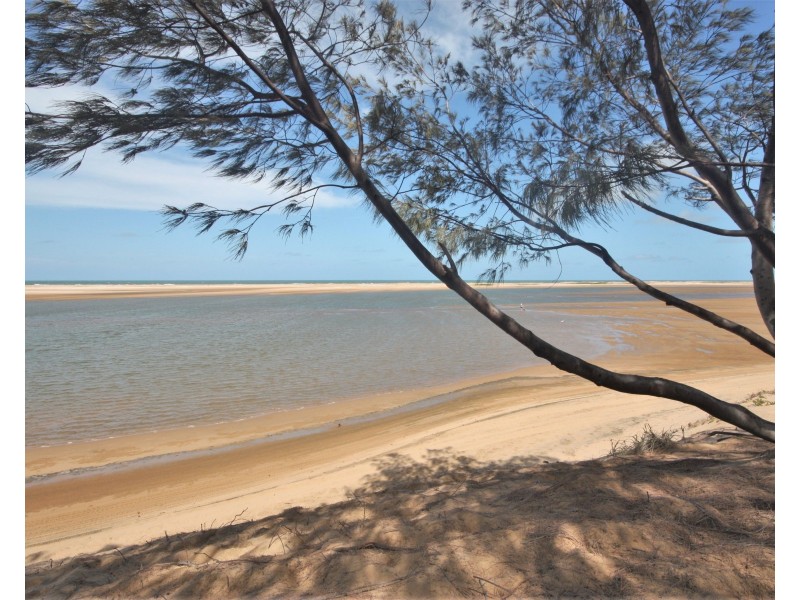14 Sandowns Street, Alva QLD 4807