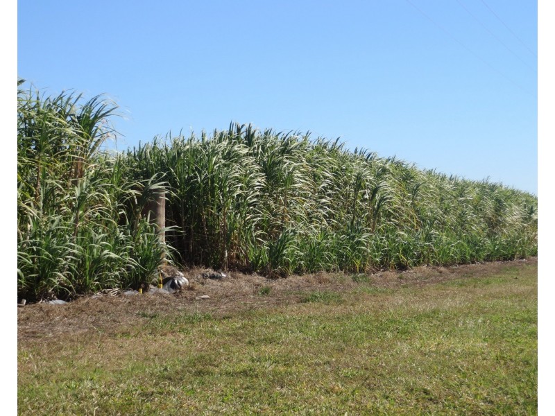 Rita Island QLD 4807