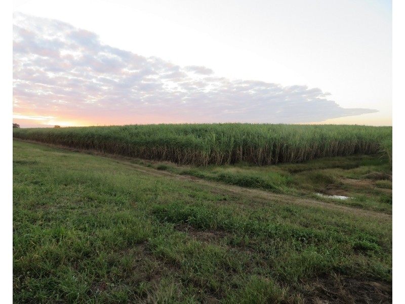 Rita Island QLD 4807