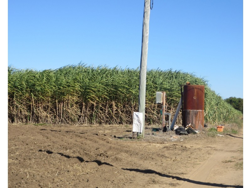 Rita Island QLD 4807