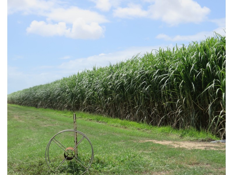 Rita Island QLD 4807