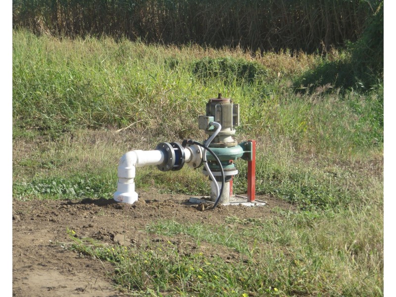 Rita Island QLD 4807