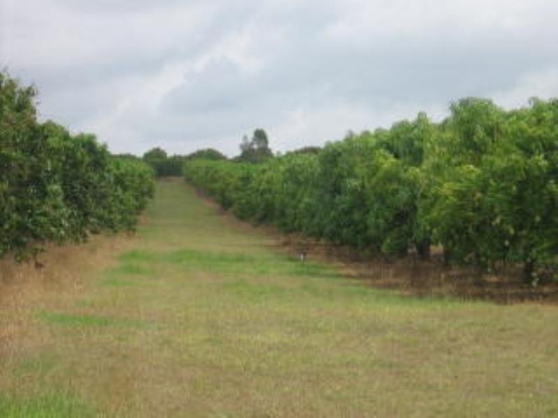 Mount Kelly QLD 4807
