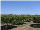 Gumlu QLD 4805