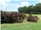 Ayr QLD 4807