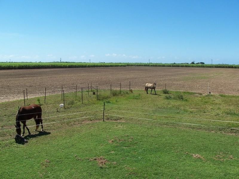 Rita Island QLD 4807