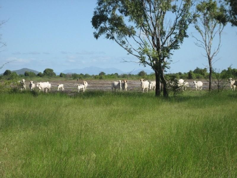 Ayr QLD 4807