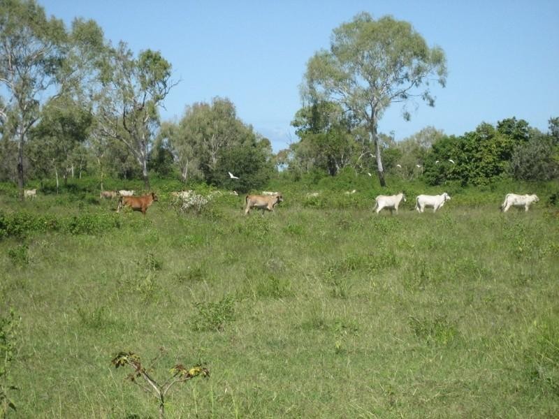 Ayr QLD 4807