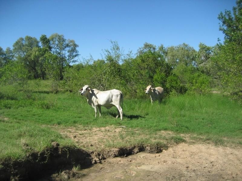 Ayr QLD 4807