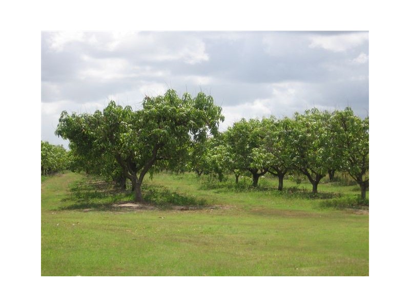 Horseshoe Lagoon QLD 4809