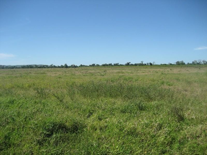 Ayr QLD 4807