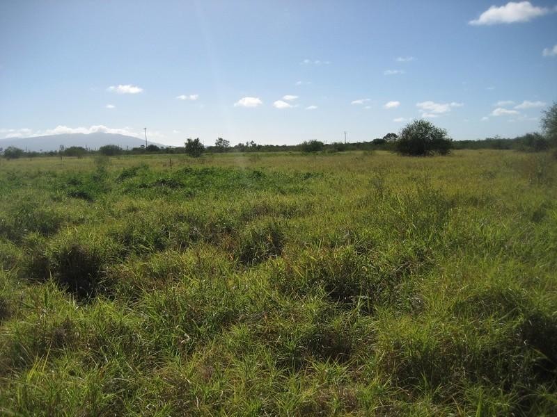 Gumlu QLD 4805