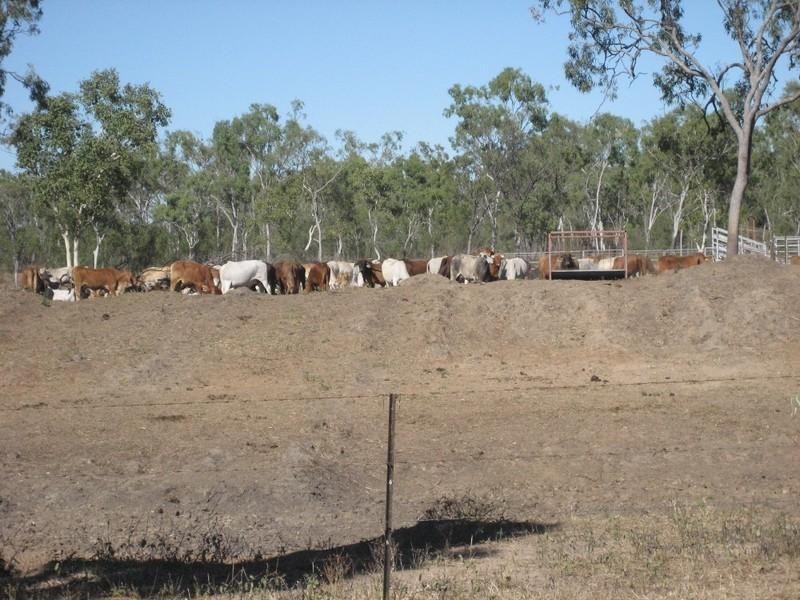 Gumlu QLD 4805