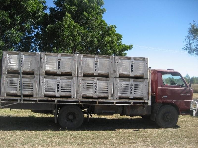 Gumlu QLD 4805