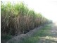 Ayr QLD 4807