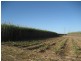 Ayr QLD 4807