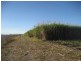 Ayr QLD 4807