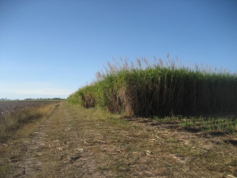 Ayr QLD 4807