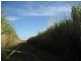 Ayr QLD 4807